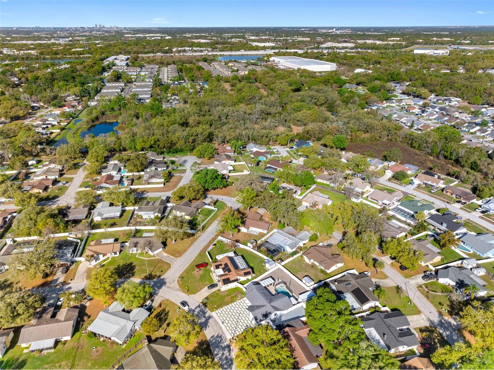 1803 Lake Crest Avenue Brandon FL 33510 TB8486861 image7