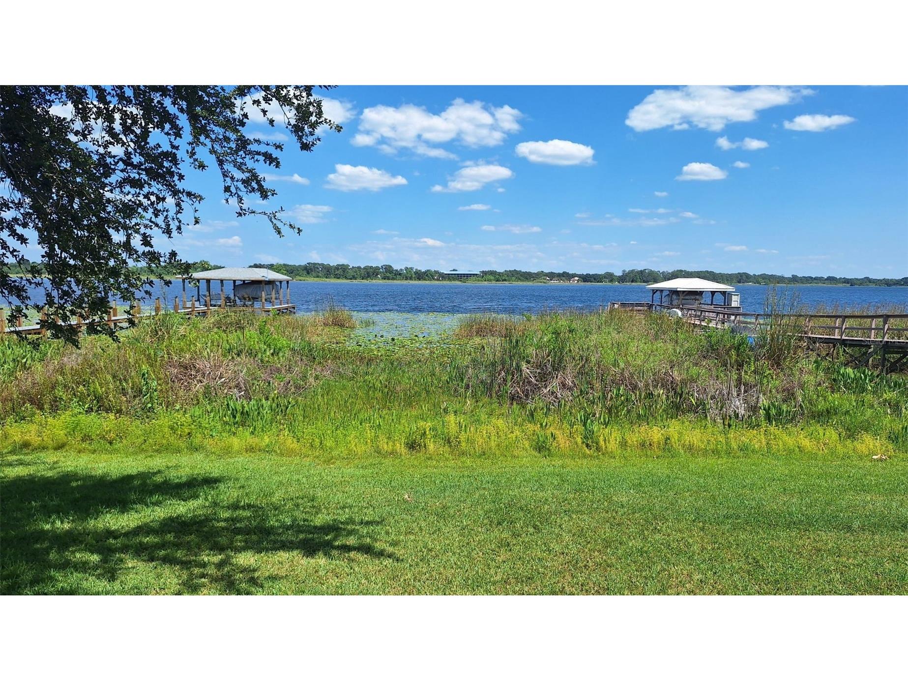 1803 Lake Villa Drive Tavares FL 32778 - LAKE SAUNDERS TB8509691 image2