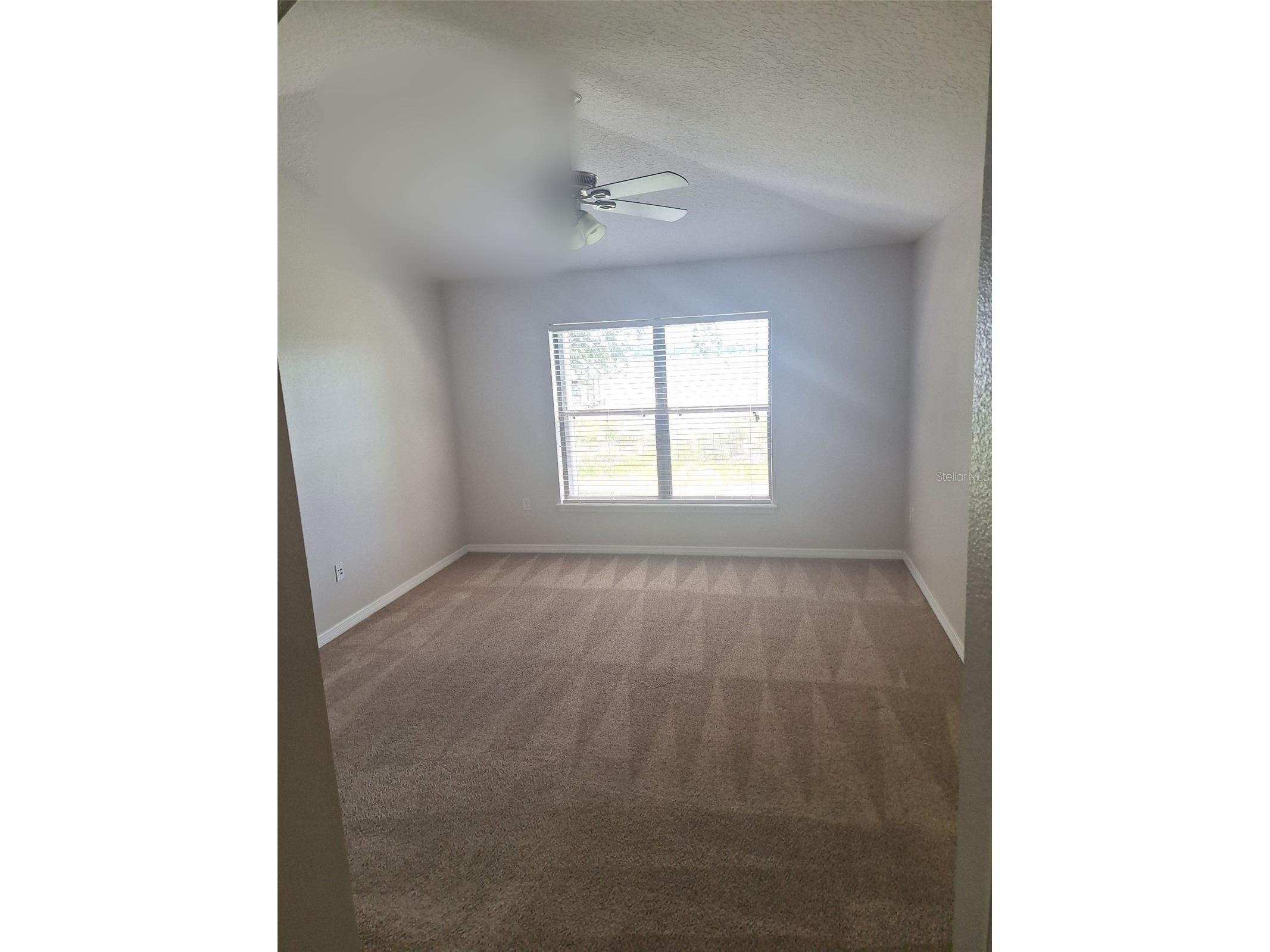 1803 Lake Villa Drive Tavares FL 32778 - LAKE SAUNDERS TB8509691 image6