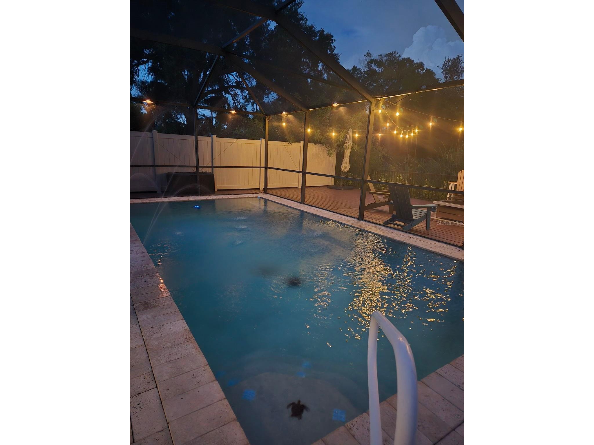 1803 Needles Lane W Largo FL 33771 TB8525120 image64