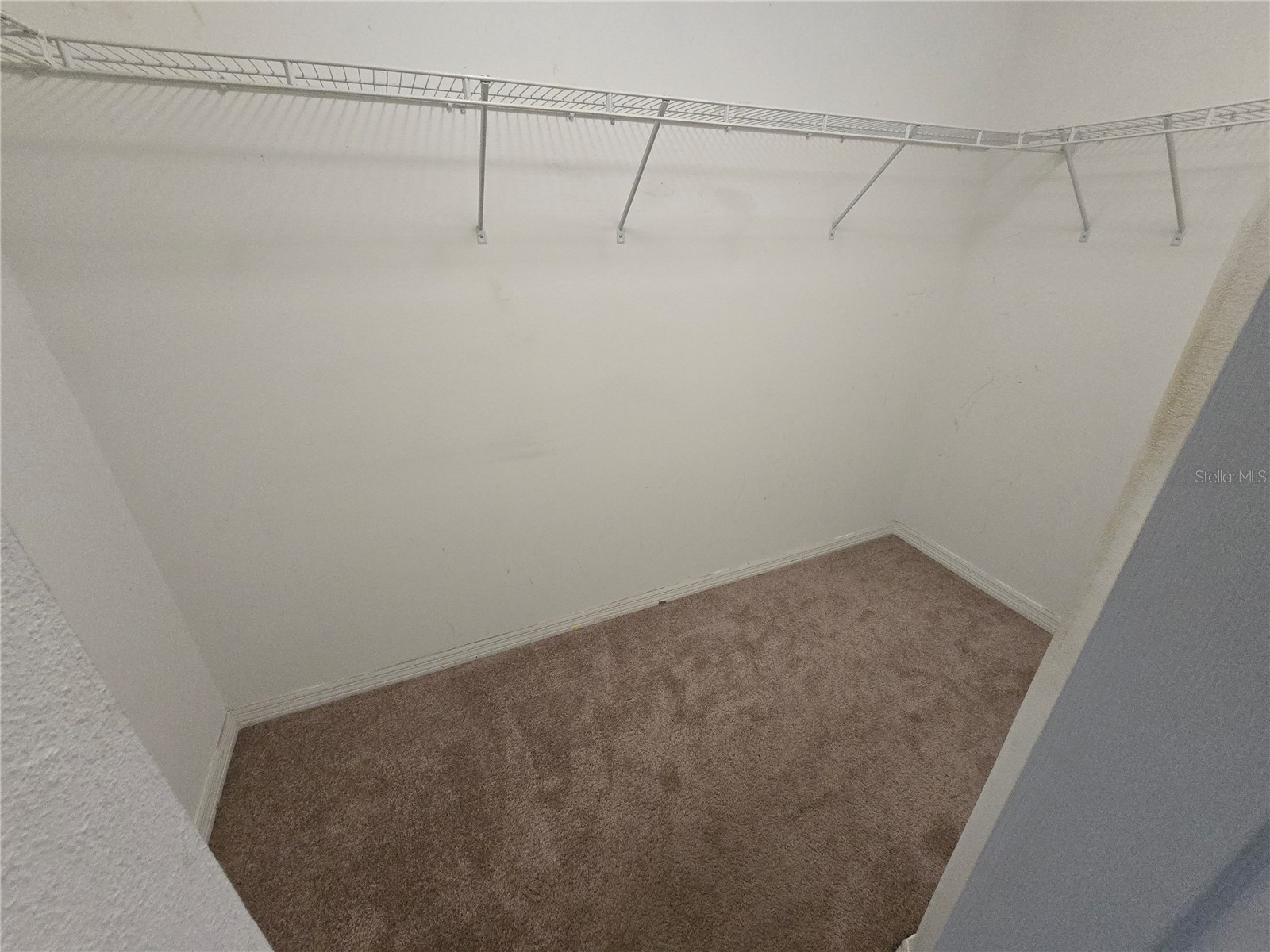 1803 Palm Warbler Lane Ruskin FL 33570 TB8476407 image10