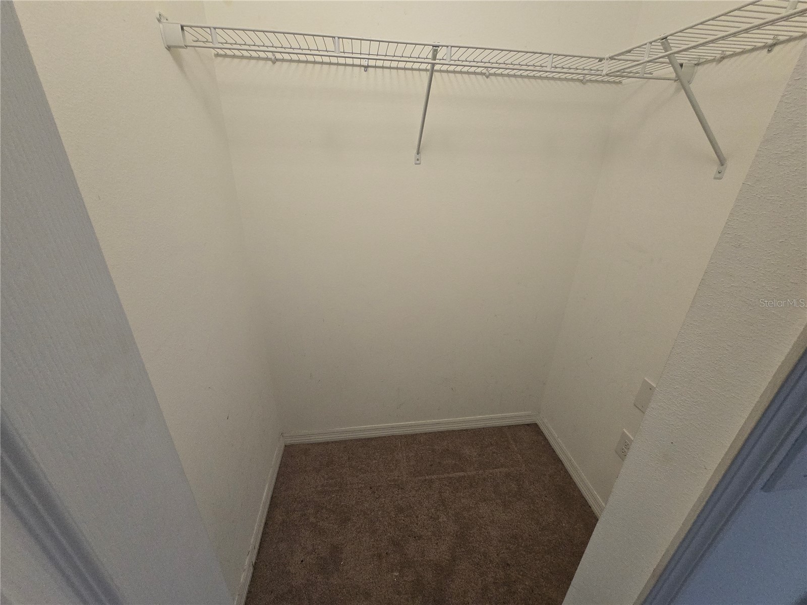 1803 Palm Warbler Lane Ruskin FL 33570 TB8476407 image11