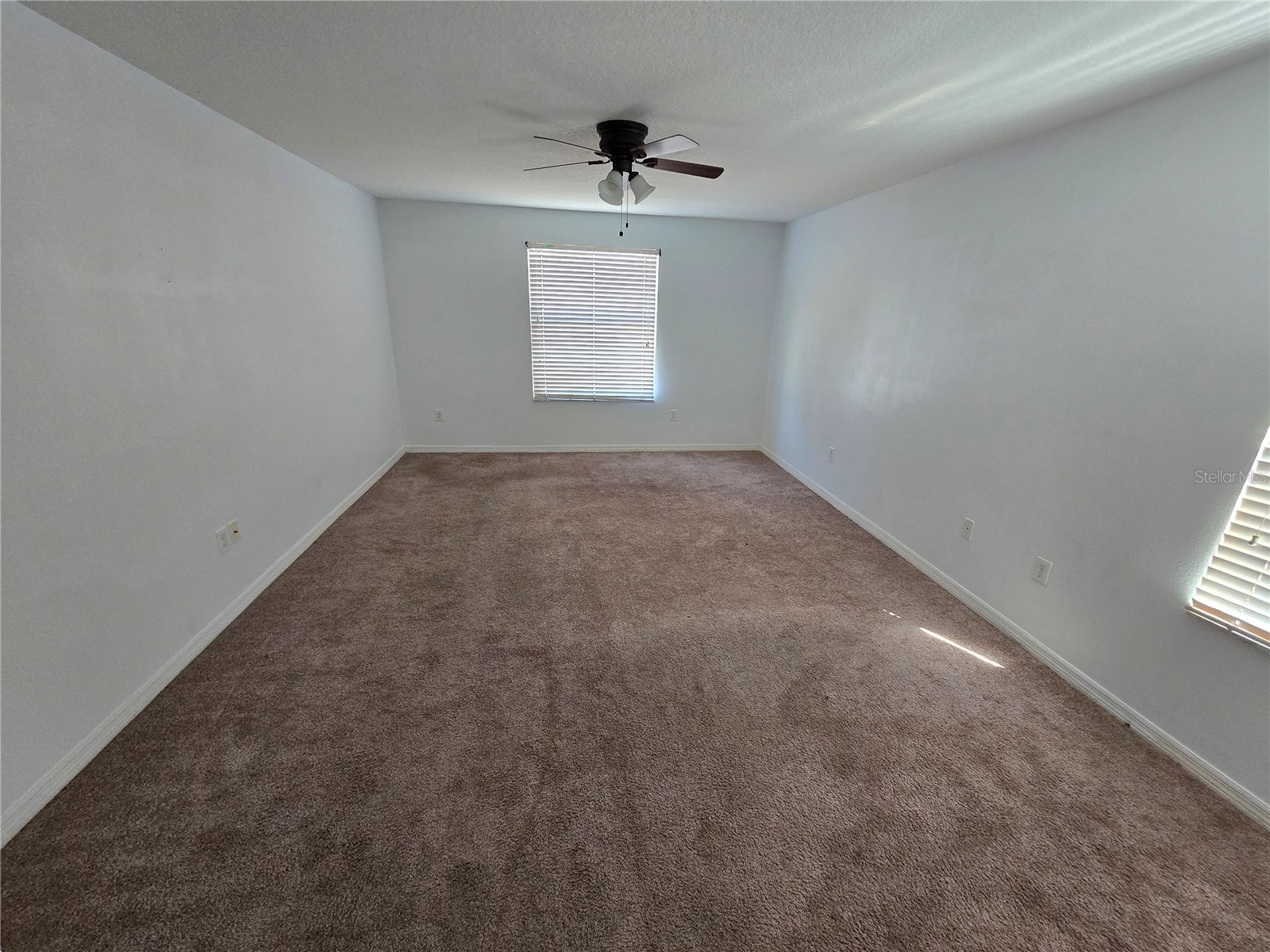 1803 Palm Warbler Lane Ruskin FL 33570 TB8476407 image12