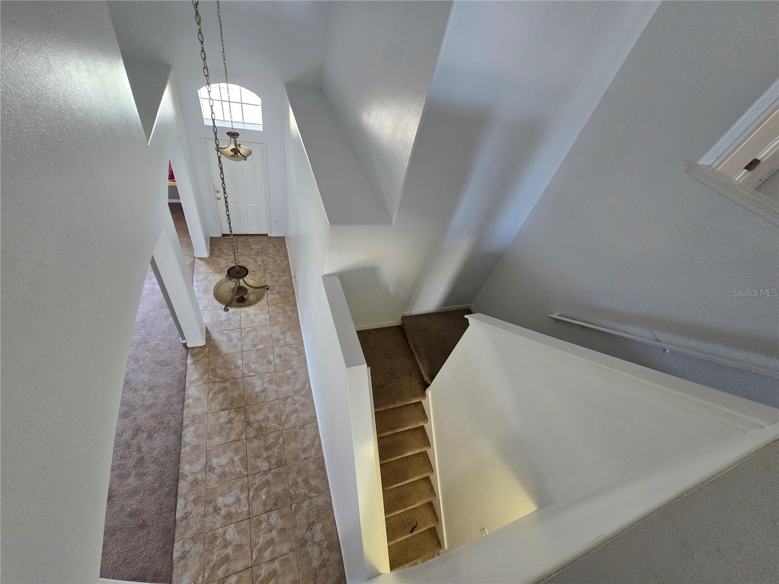1803 Palm Warbler Lane Ruskin FL 33570 TB8476407 image14