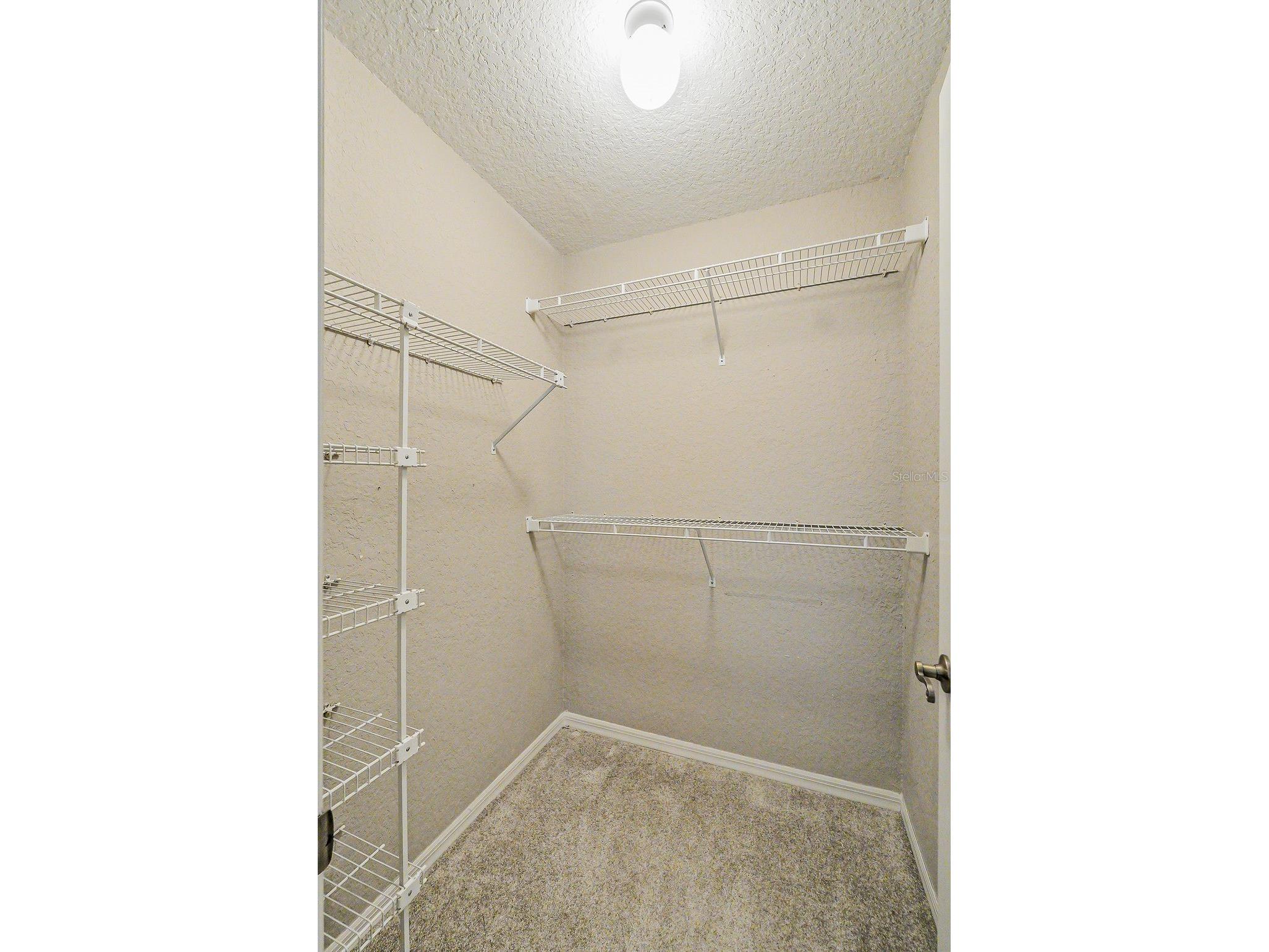 1803 Preservation Drive #B Plant City FL 33566 TB8506722 image37