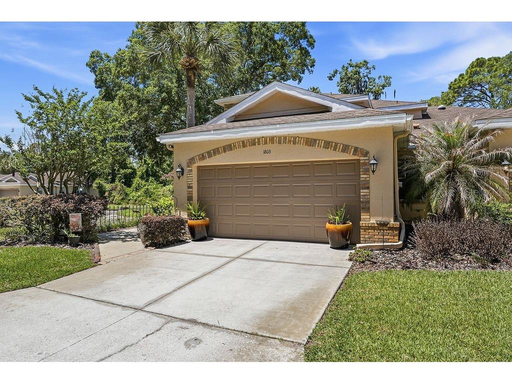 1803 Preservation Drive #B Plant City FL 33566 TB8506722 image61