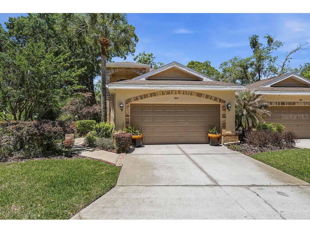 1803 Preservation Drive #B Plant City FL 33566 TB8506722 image62