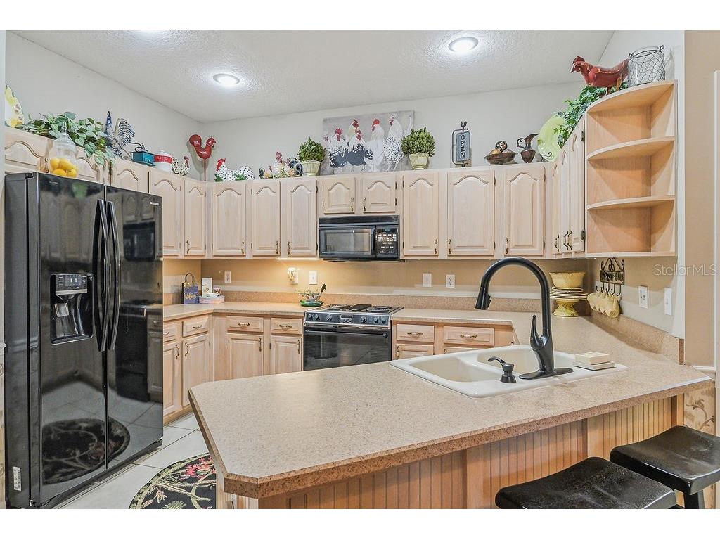 1803 Preservation Drive #B Plant City FL 33566 TB8506722 image9