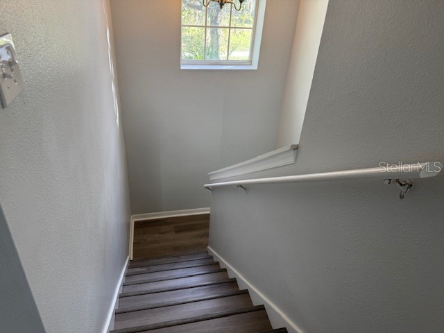 1803 Royal Ridge Drive Davenport FL 33896 S5138577 image10