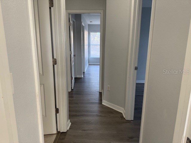 1803 Royal Ridge Drive Davenport FL 33896 S5138577 image11