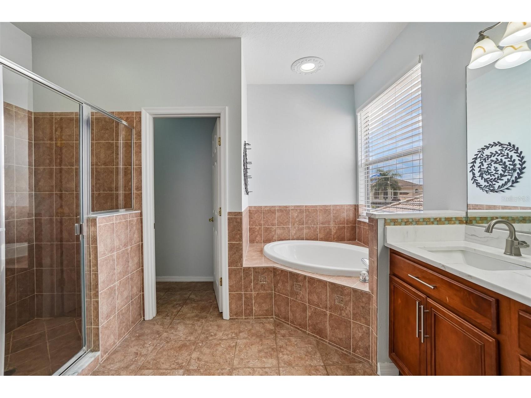18032 Malakai Isle Drive Tampa FL 33647 - CORY LAKE TB8503443 image21