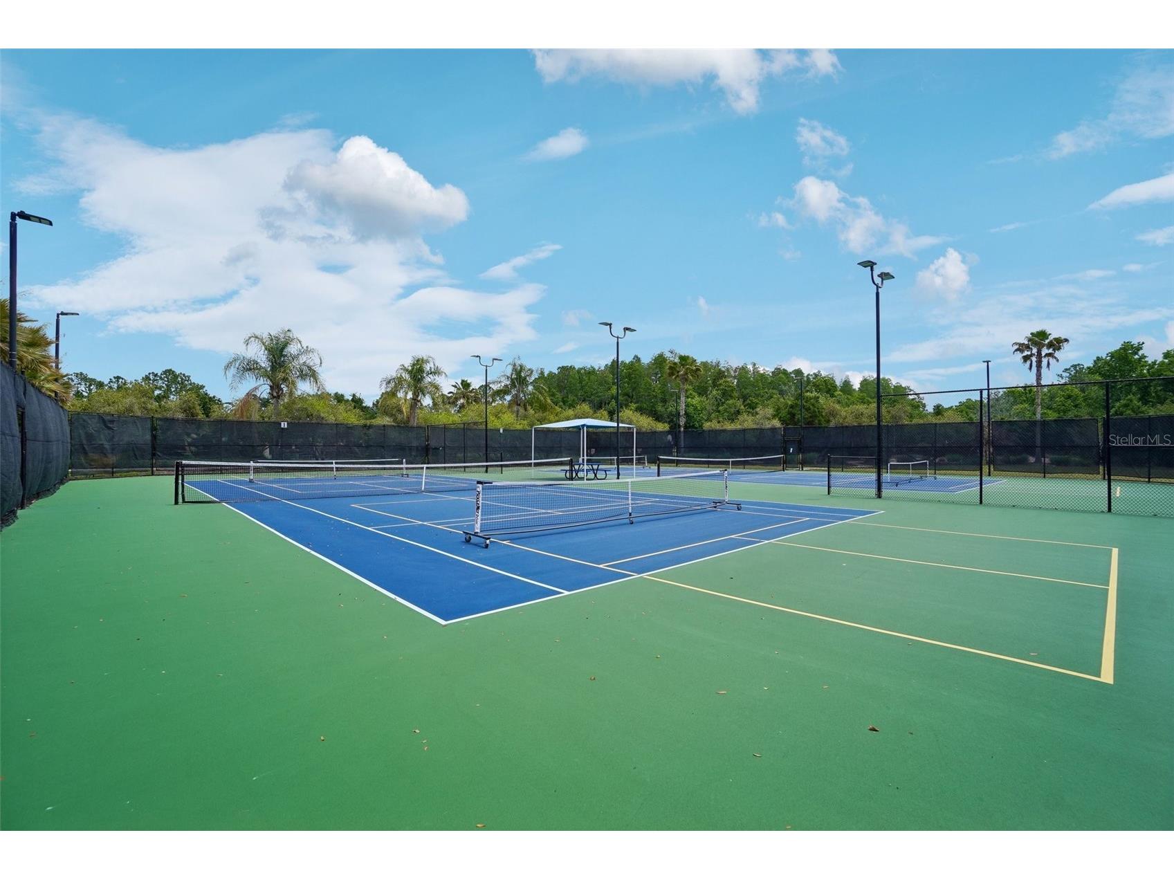 18032 Malakai Isle Drive Tampa FL 33647 - CORY LAKE TB8503443 image40