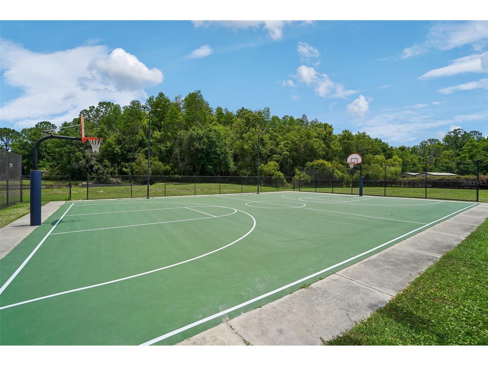 18032 Malakai Isle Drive Tampa FL 33647 - CORY LAKE TB8503443 image41