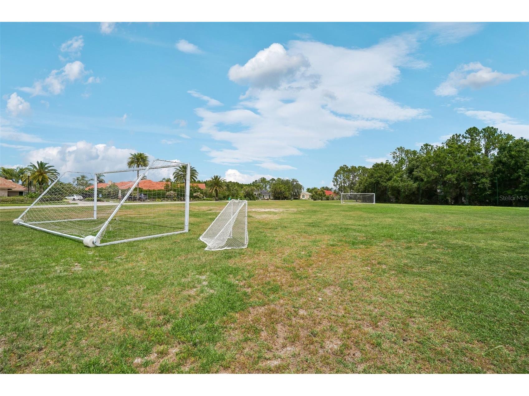 18032 Malakai Isle Drive Tampa FL 33647 - CORY LAKE TB8503443 image44