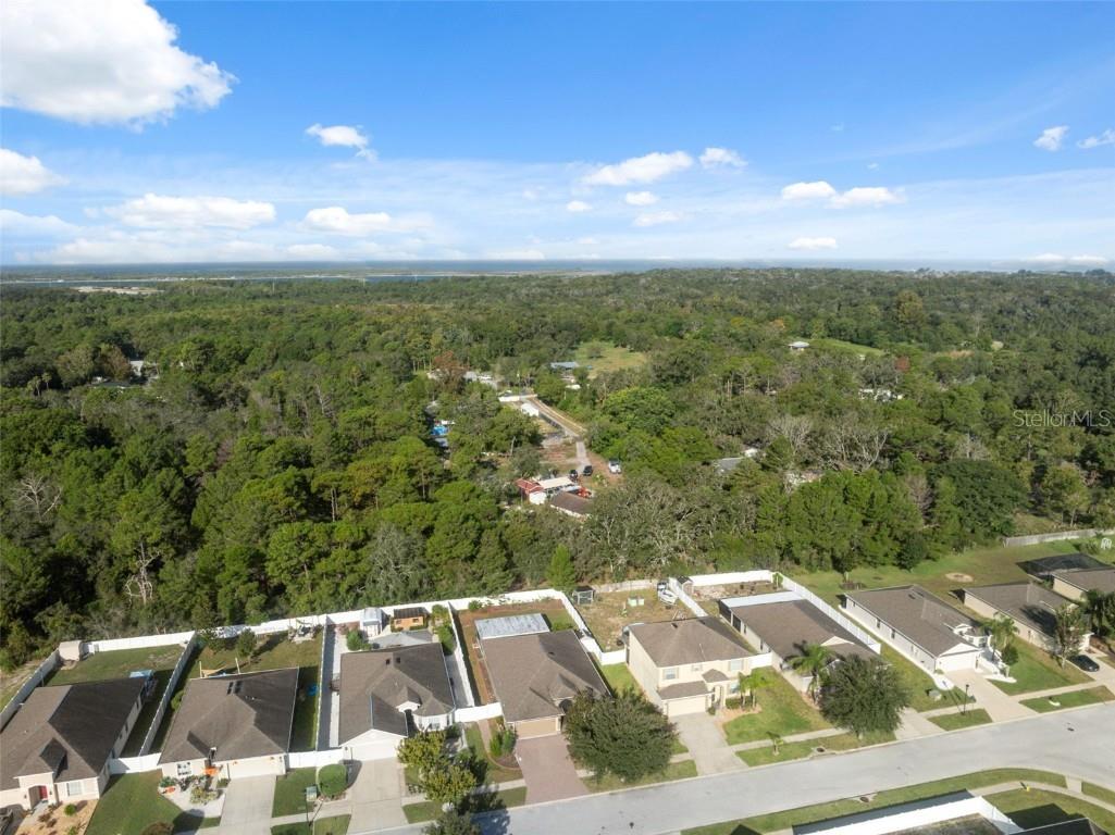 18035 Arbor Crest Drive Hudson FL 34667 TB8430116 image35