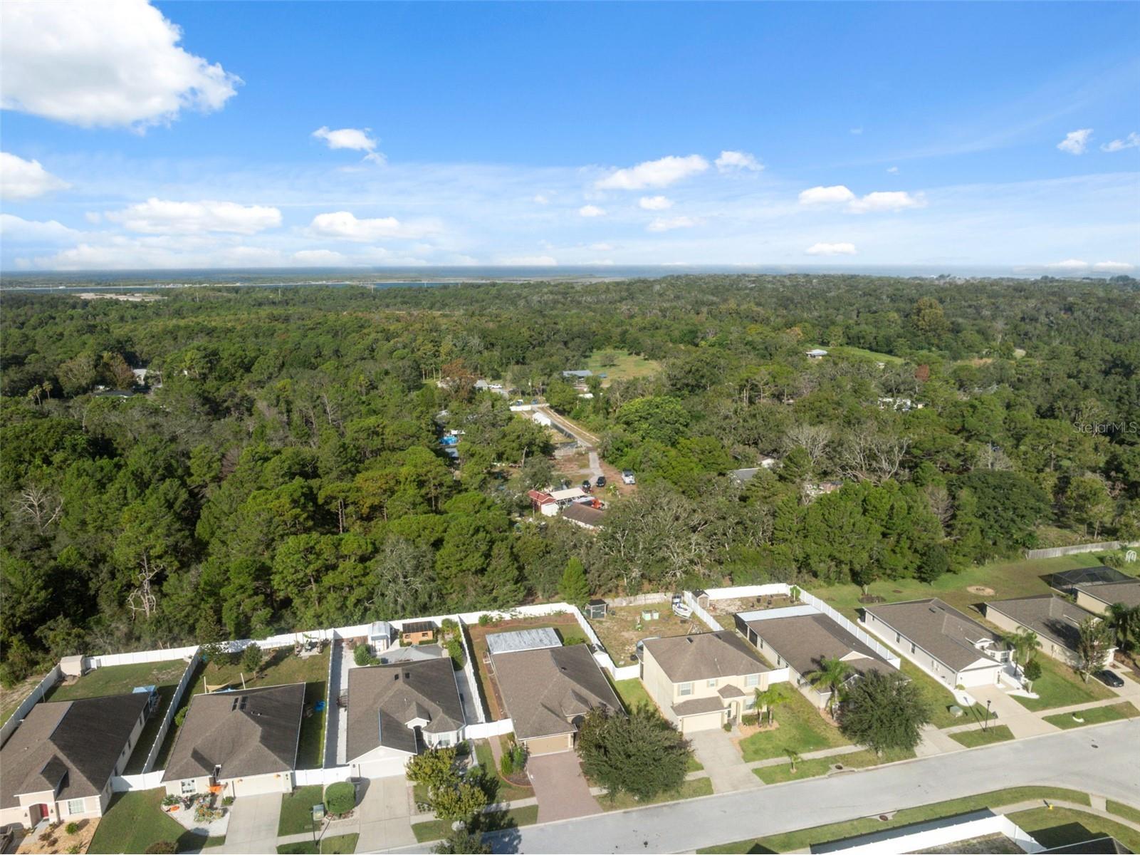 18035 Arbor Crest Drive Hudson FL 34667 TB8532771 image37