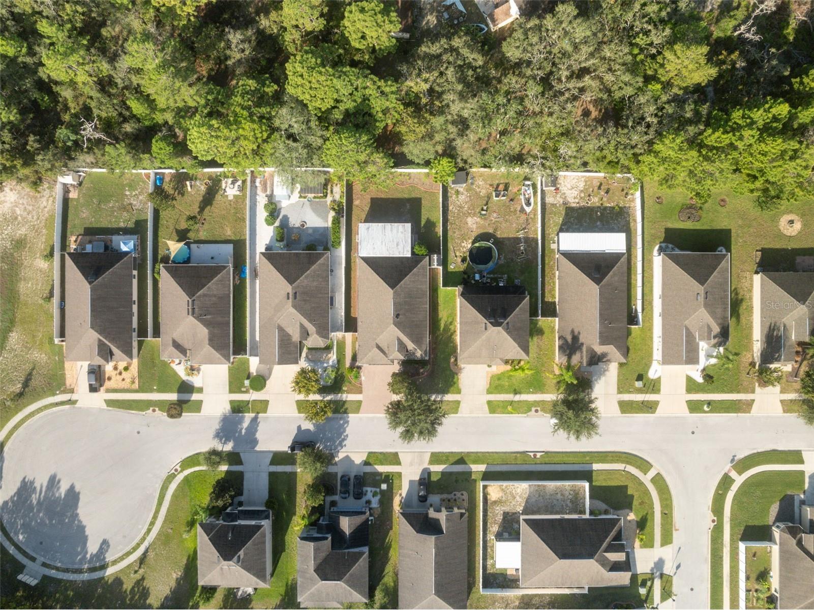 18035 Arbor Crest Drive Hudson FL 34667 TB8532771 image40