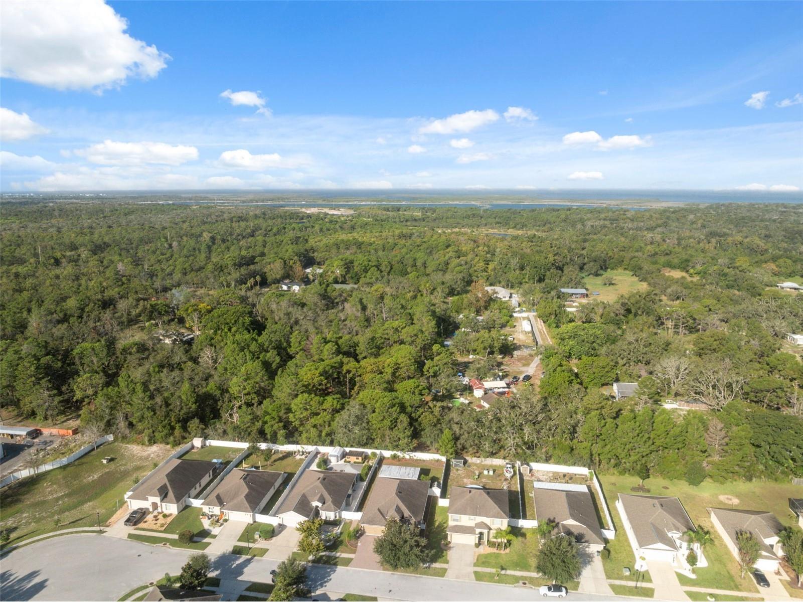 18035 Arbor Crest Drive Hudson FL 34667 TB8532771 image42