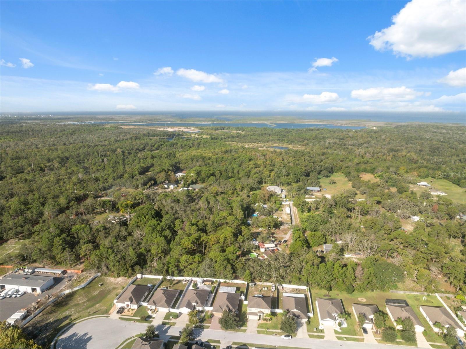 18035 Arbor Crest Drive Hudson FL 34667 TB8532771 image43