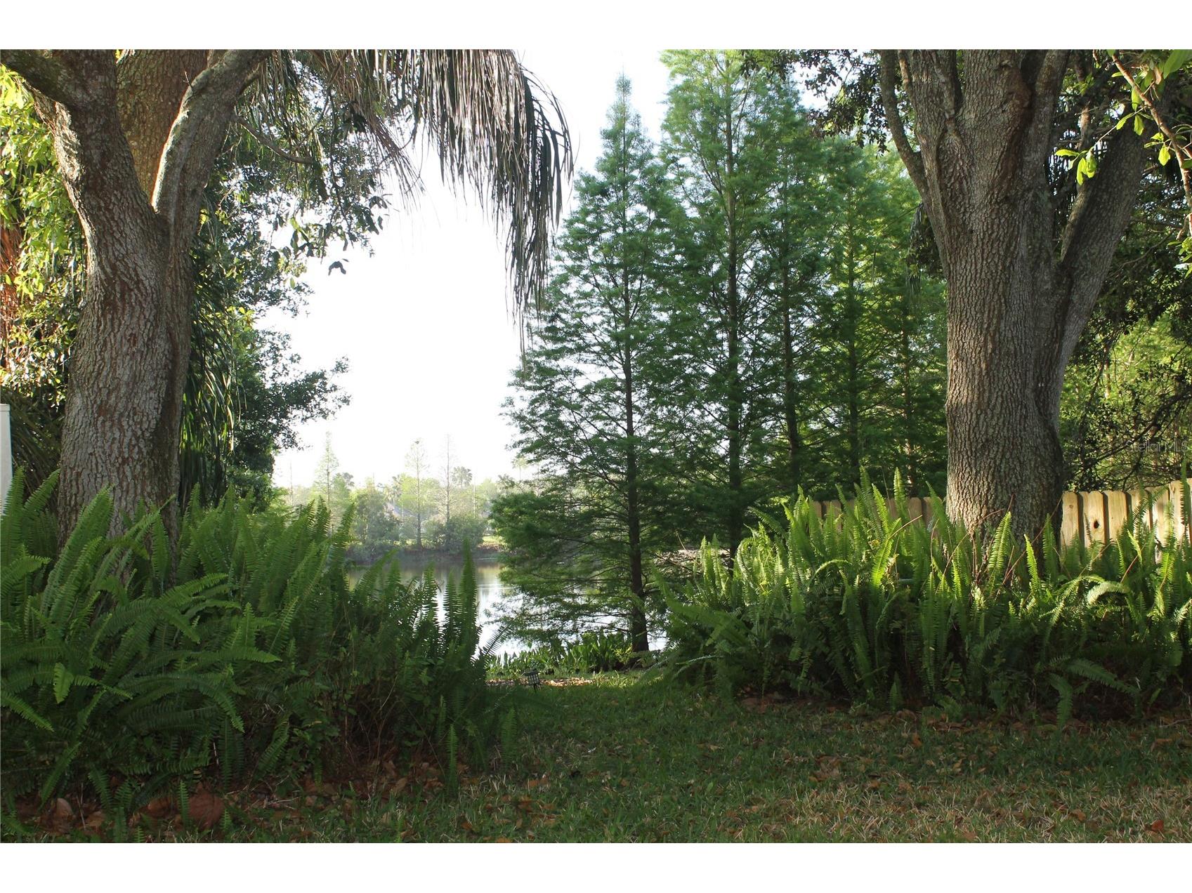 18035 Birdwater Drive Tampa FL 33647 TB8492102 image13