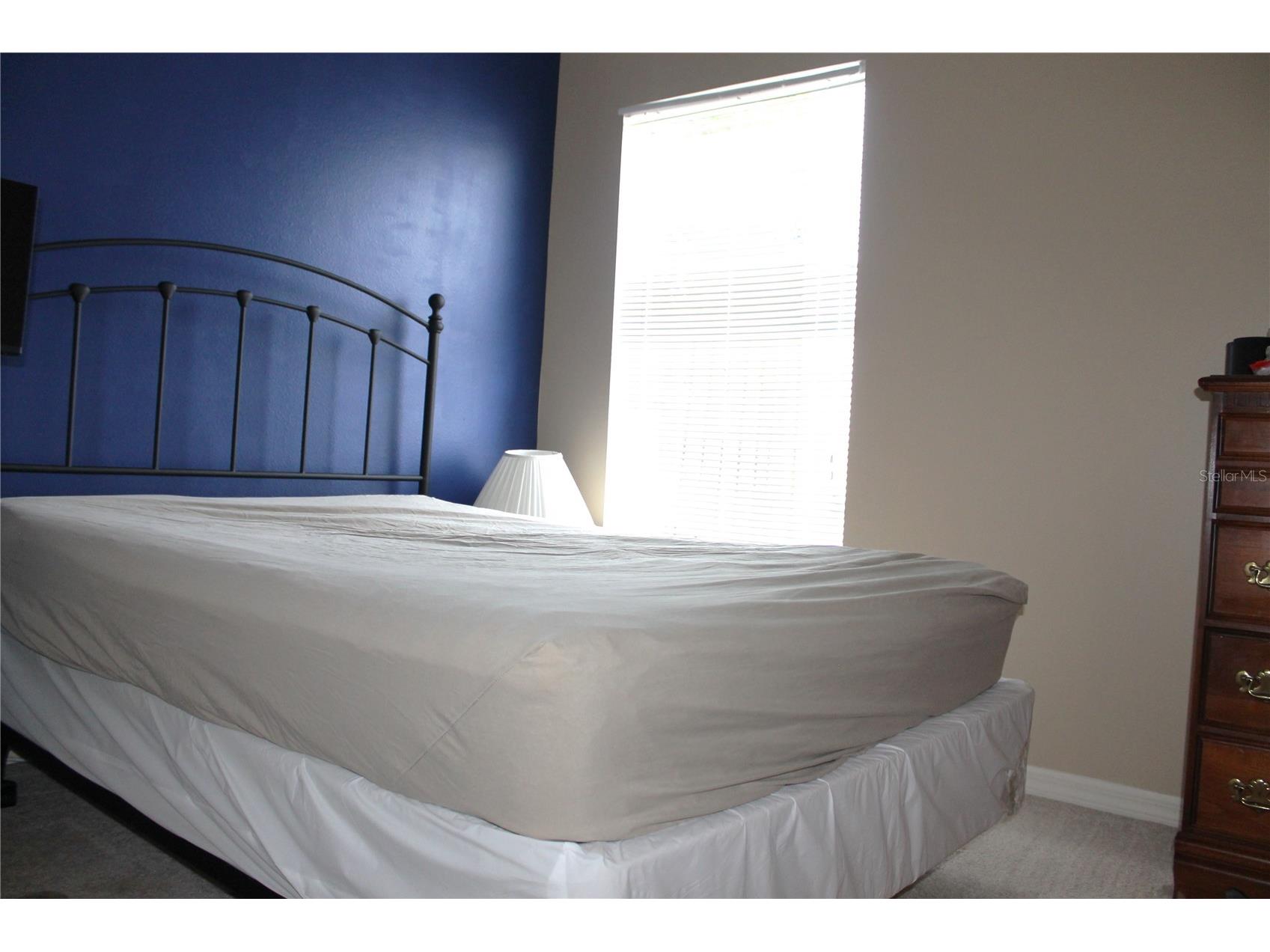 18035 Birdwater Drive Tampa FL 33647 TB8492102 image23