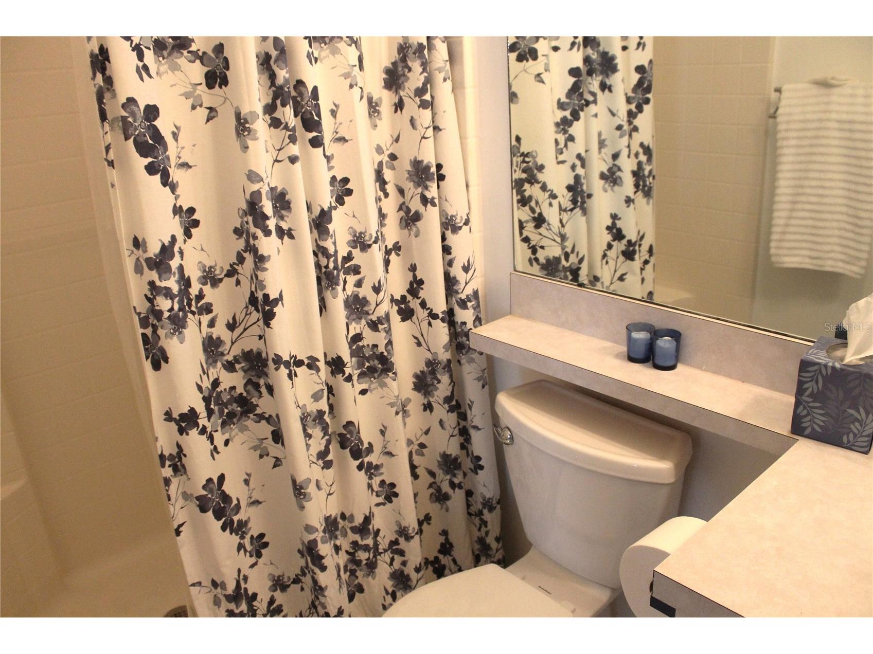 18035 Birdwater Drive Tampa FL 33647 TB8492102 image27