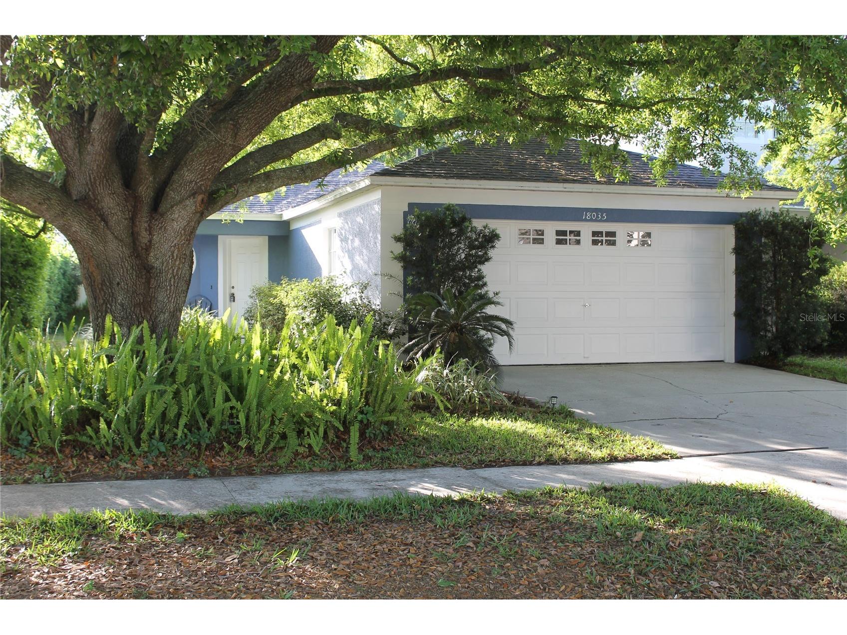 18035 Birdwater Drive Tampa FL 33647 TB8492102 image8