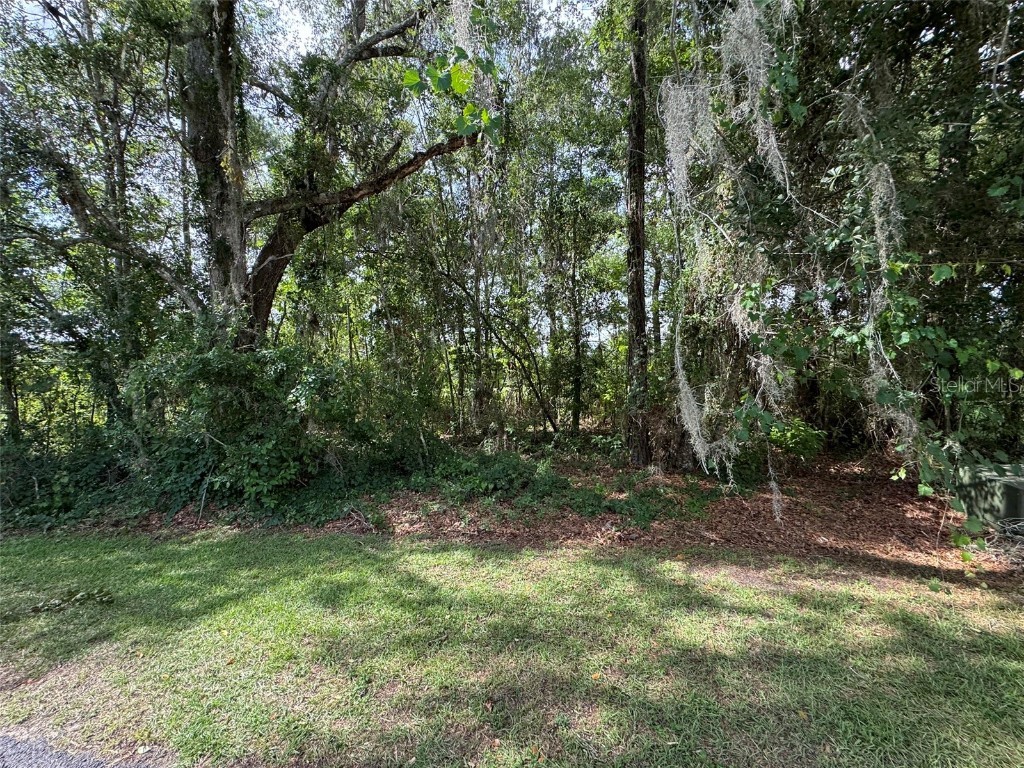 18035 Glen Raven Boulevard Brooksville FL 34604 W7876905 image4