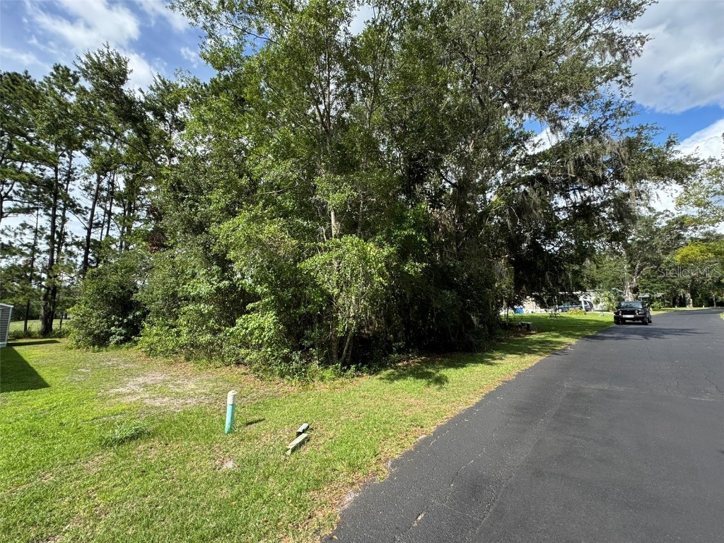 18035 Glen Raven Boulevard Brooksville FL 34604 W7876905 image5