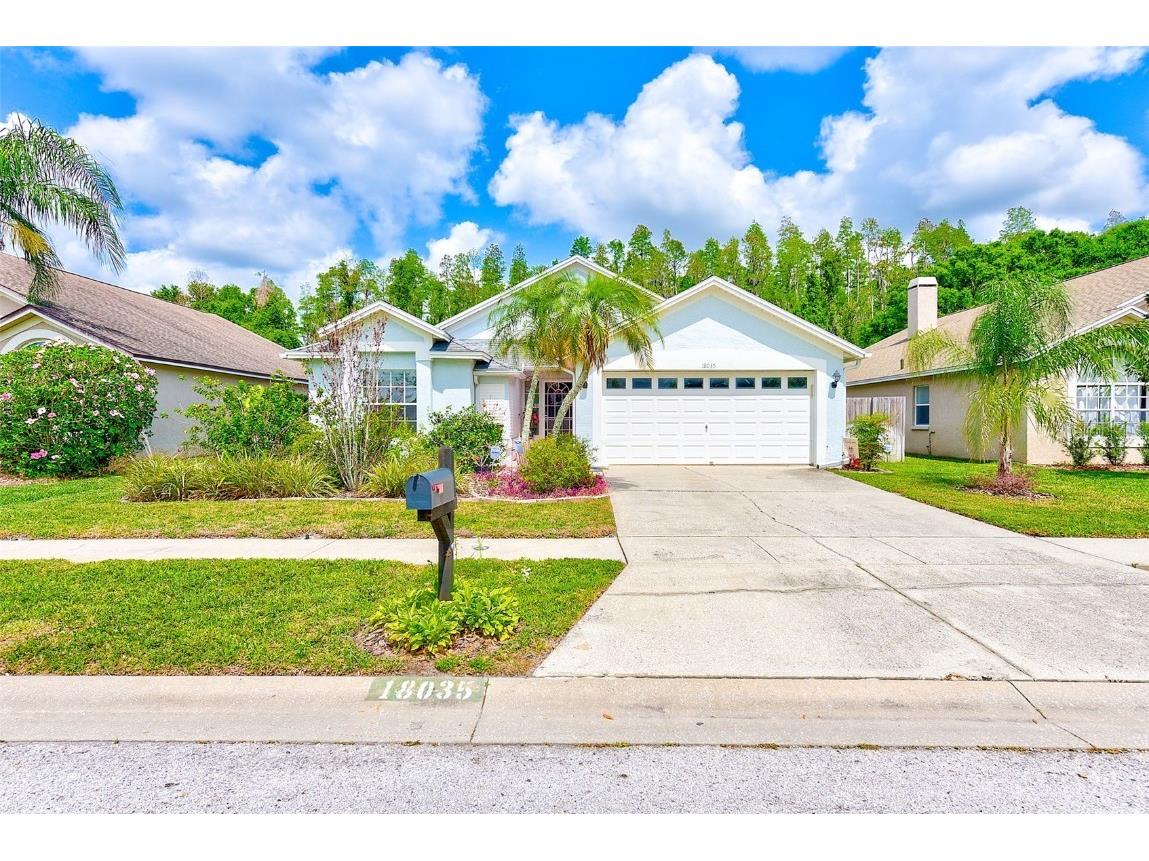 18035 Palm Breeze Drive Tampa FL 33647 TB8372551 image1