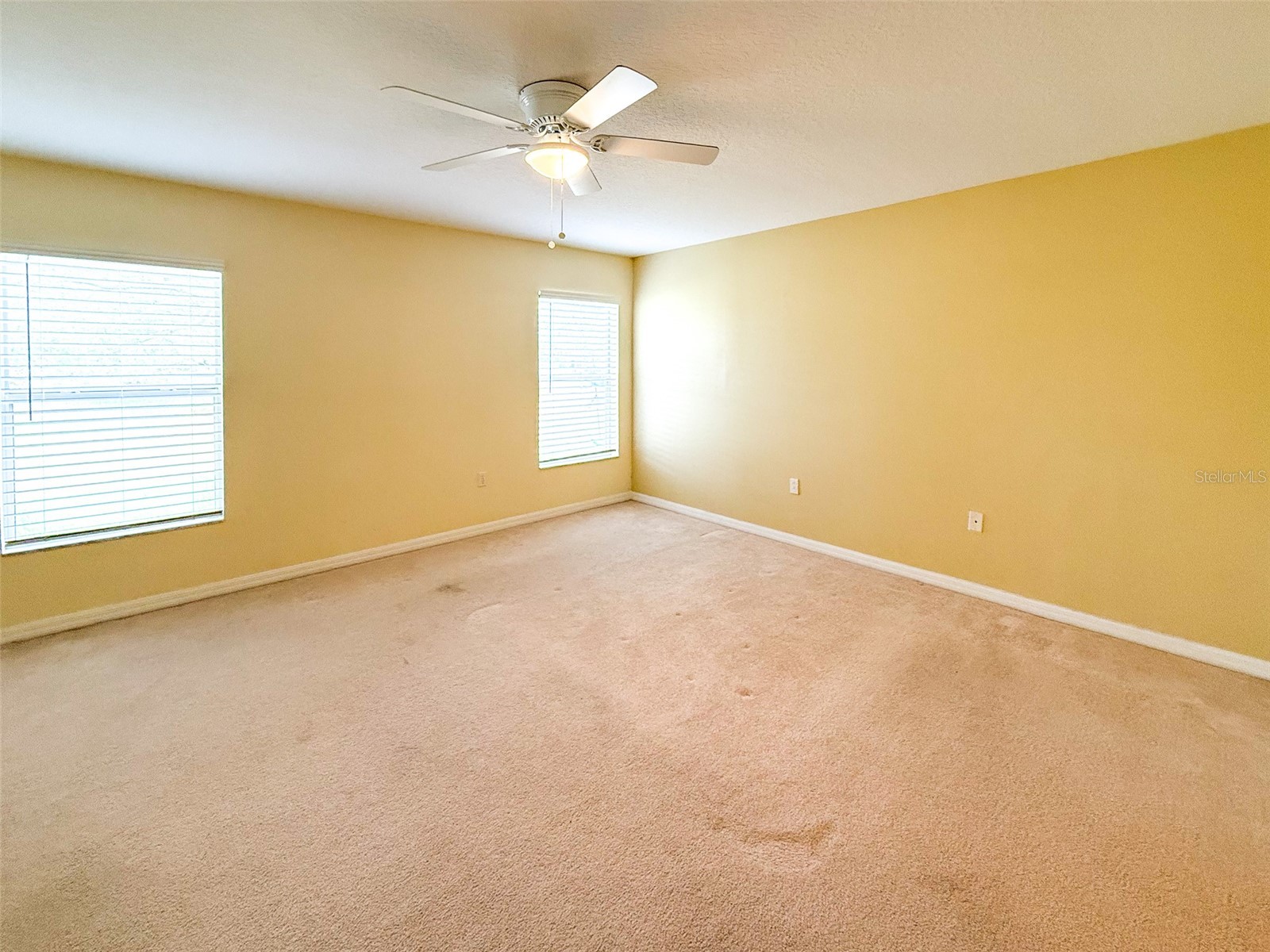 18037 Baywood Forest Drive Hudson FL 34667 W7885470 image16