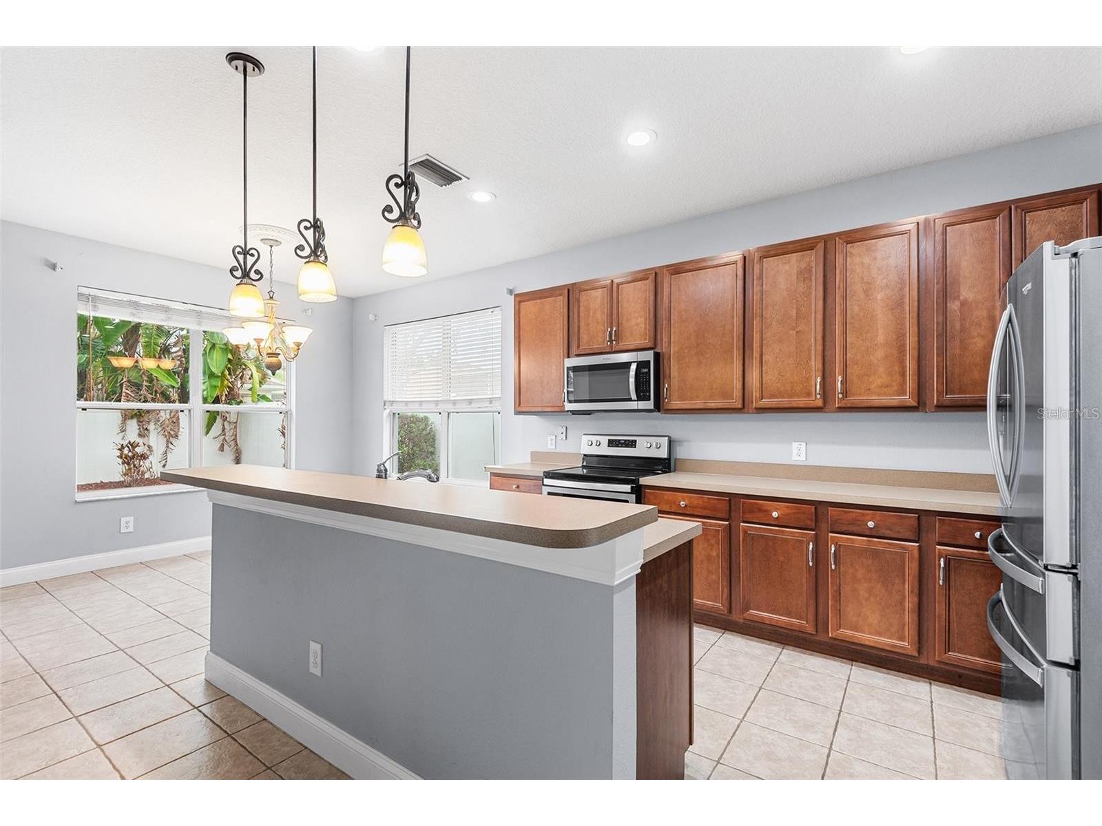 18037 Lake Reflections Boulevard Lutz FL 33558 TB8475921 image7