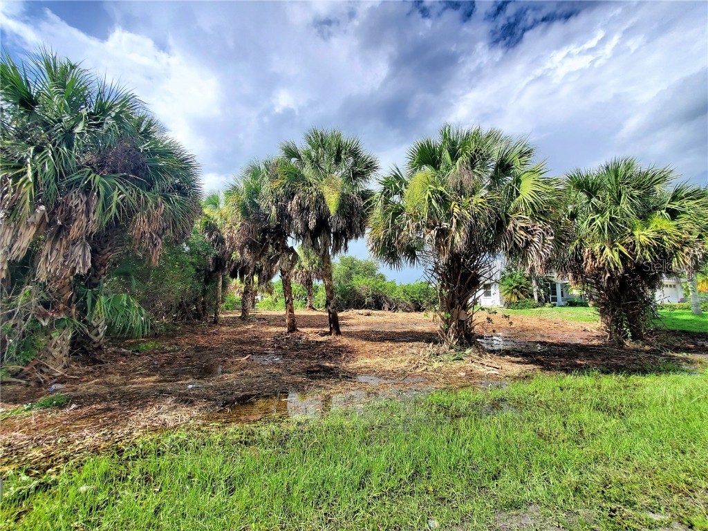 18037 Ohara Drive Port Charlotte FL 33948 C7445067 image21