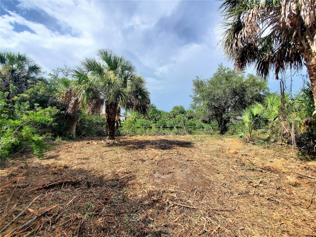 18037 Ohara Drive Port Charlotte FL 33948 C7445067 image24