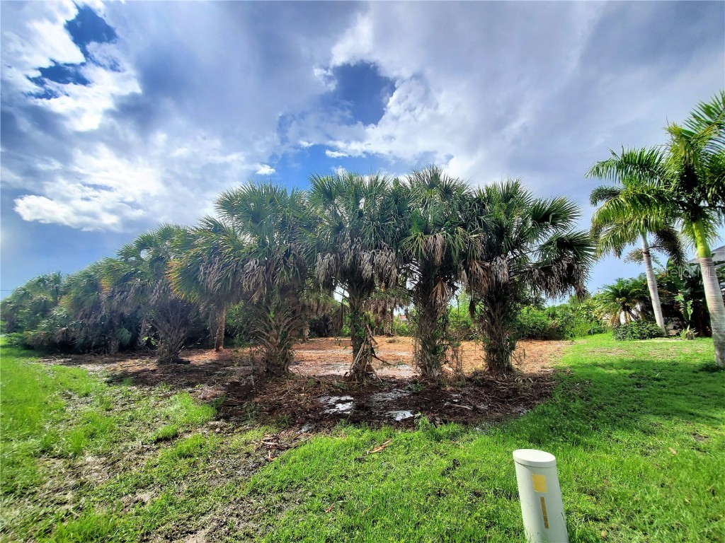 18037 Ohara Drive Port Charlotte FL 33948 C7445067 image32