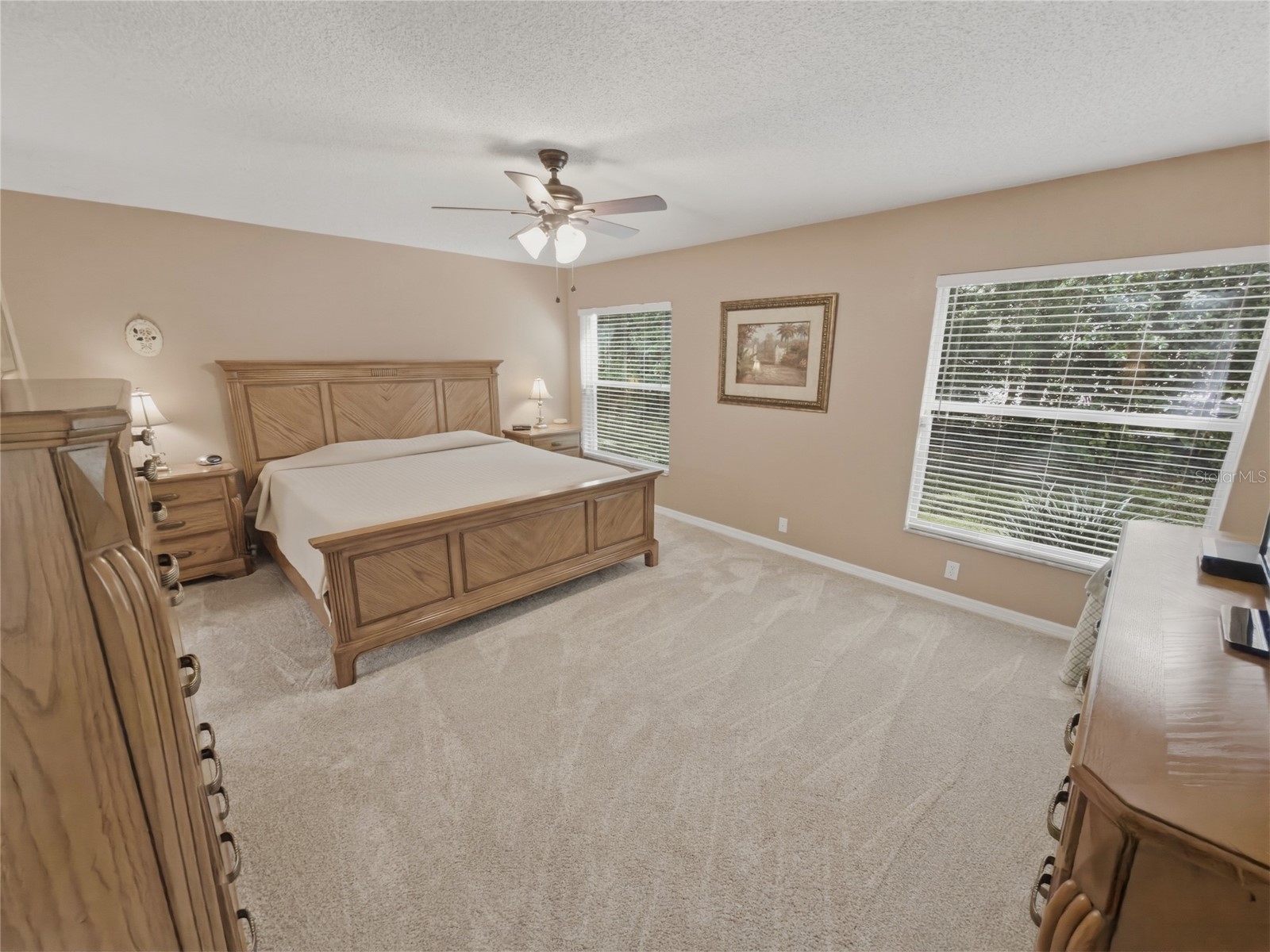 18038 Webster Grove Drive Hudson FL 34667 W7883774 image23