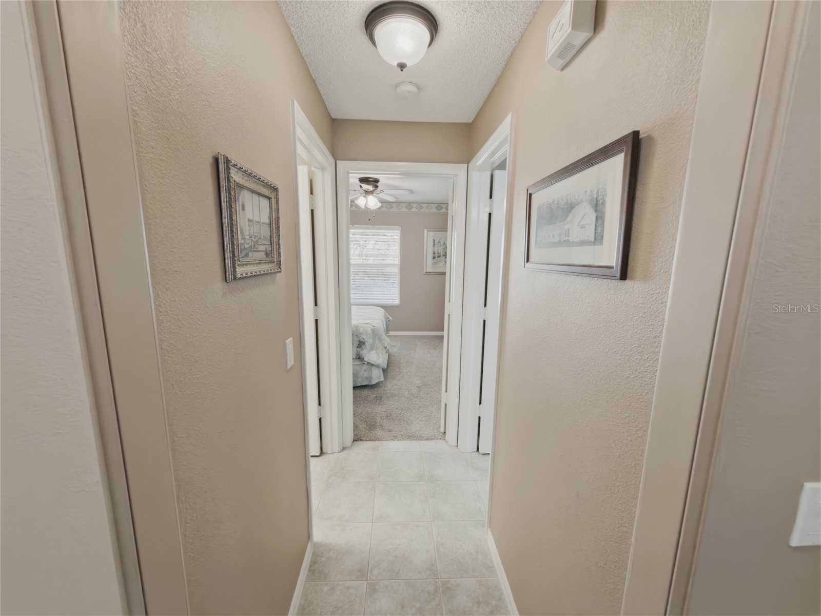 18038 Webster Grove Drive Hudson FL 34667 W7883774 image32