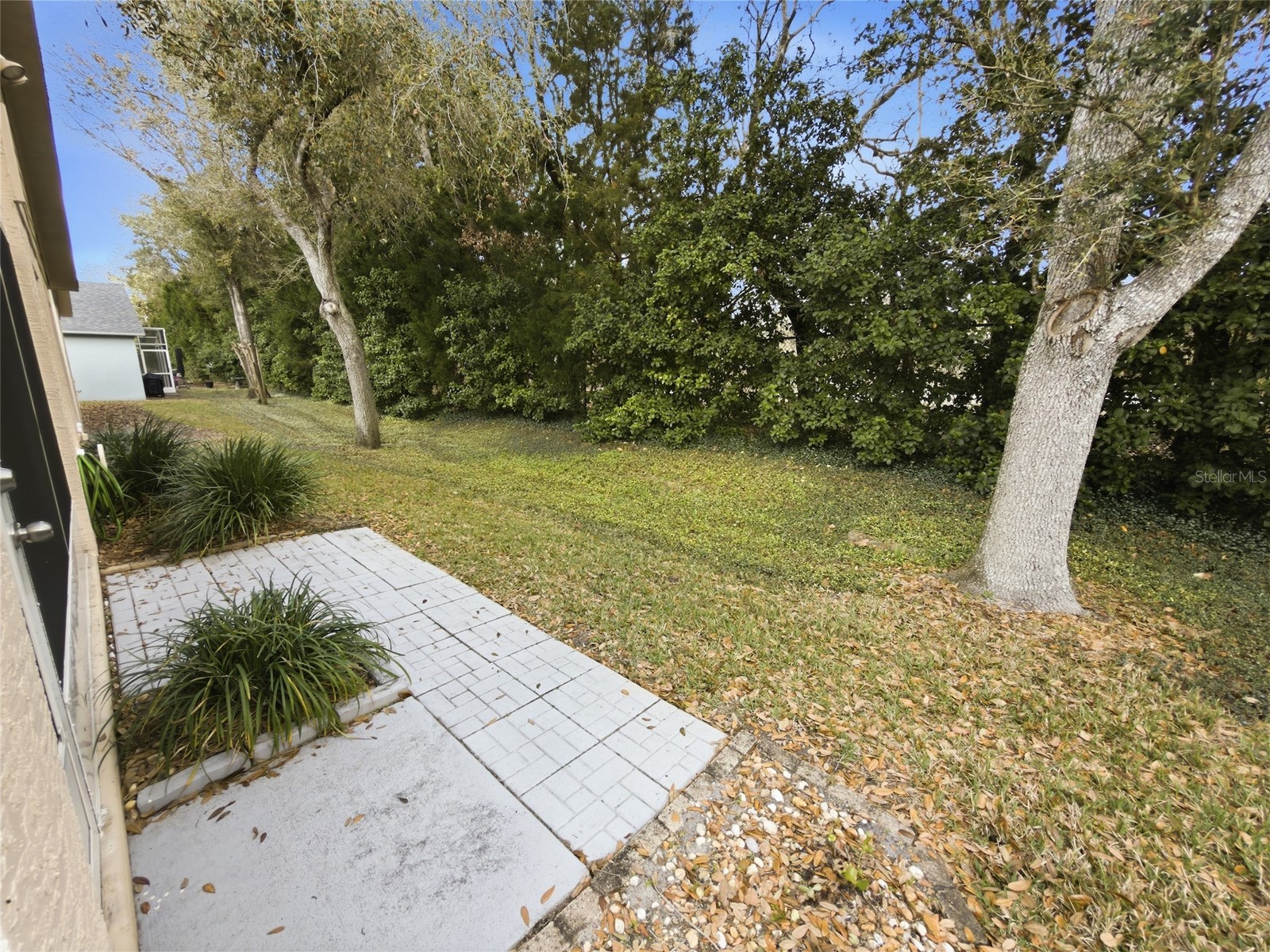 18038 Webster Grove Drive Hudson FL 34667 W7883774 image42