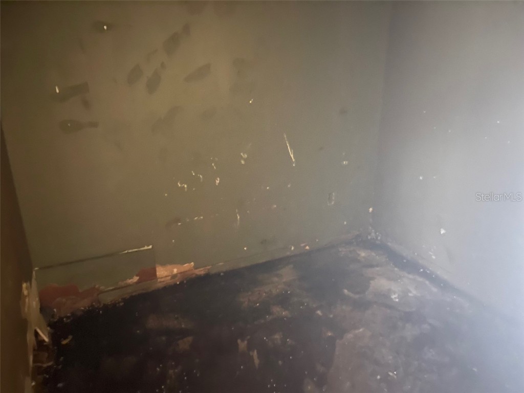 1804 Mable Butler Avenue Orlando FL 32805 O6269124 image13