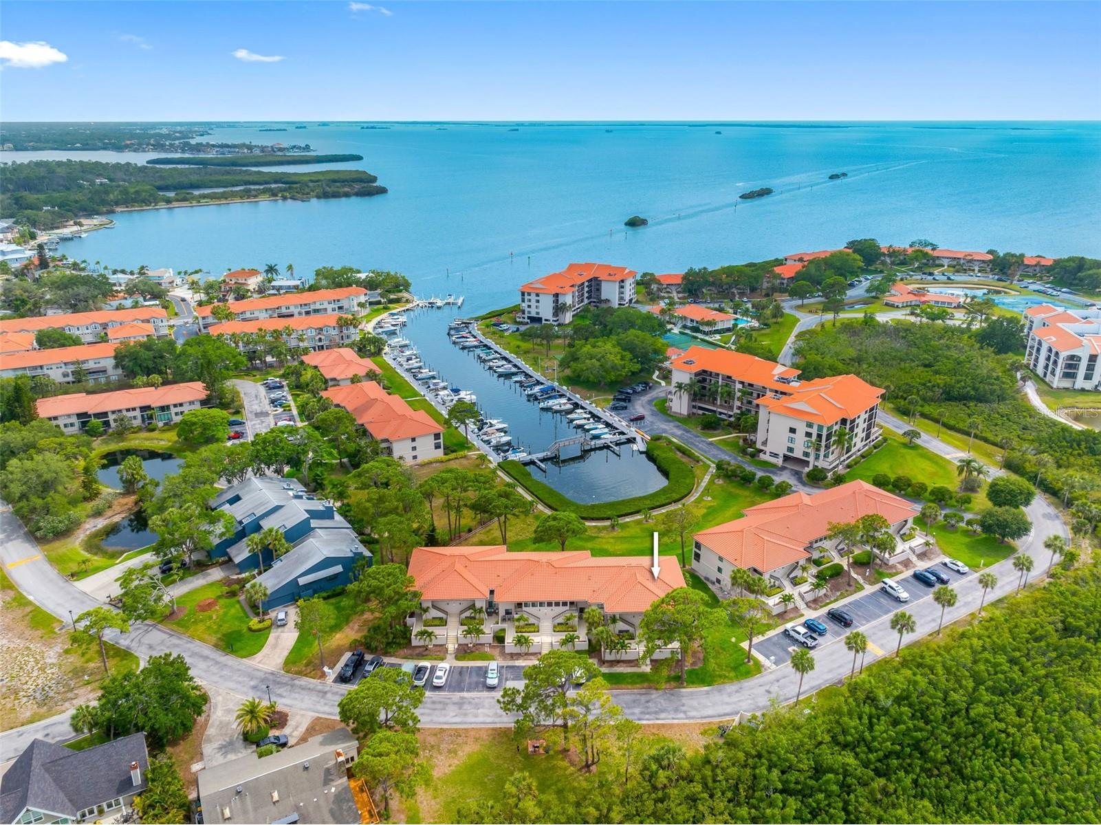 1804 Mariner Drive #43 Tarpon Springs FL 34689 - ST. JOSEPH SOUND / GULF TB8508093 image1