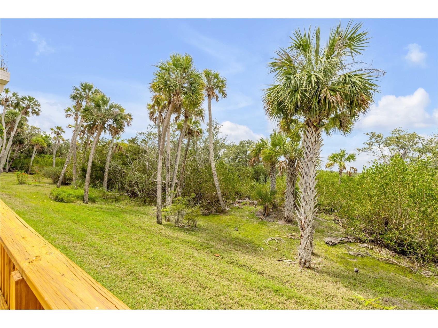 1804 Saxon Drive New Smyrna Beach FL 32169 NS1084503 image51