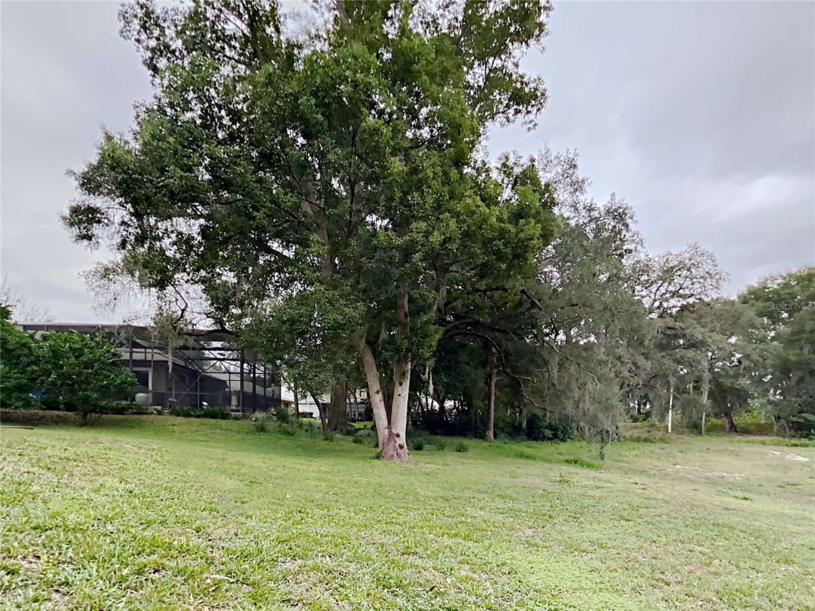 1804 Stoneywood Way Apopka FL 32712 C7526250 image33