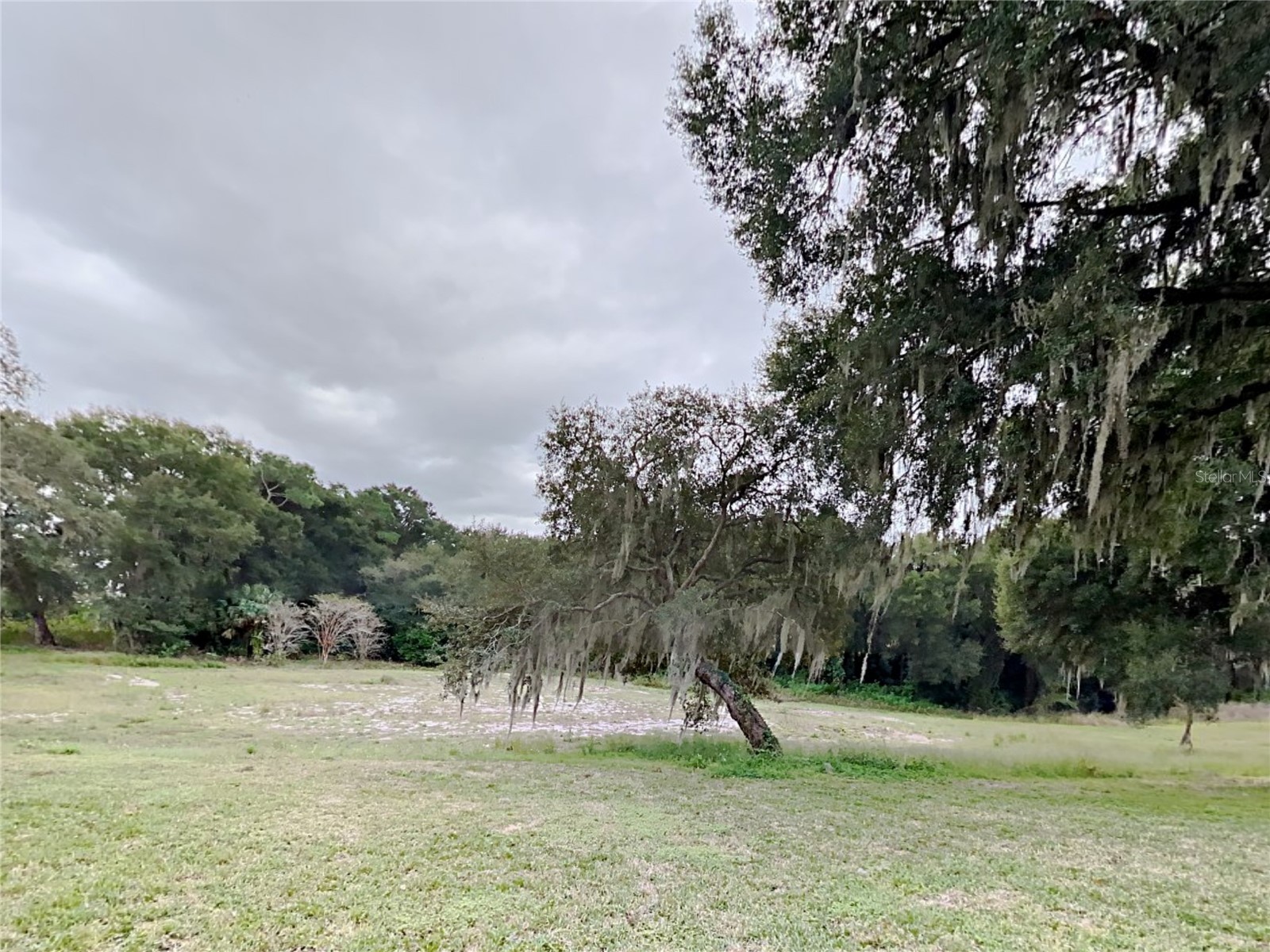 1804 Stoneywood Way Apopka FL 32712 C7526250 image34