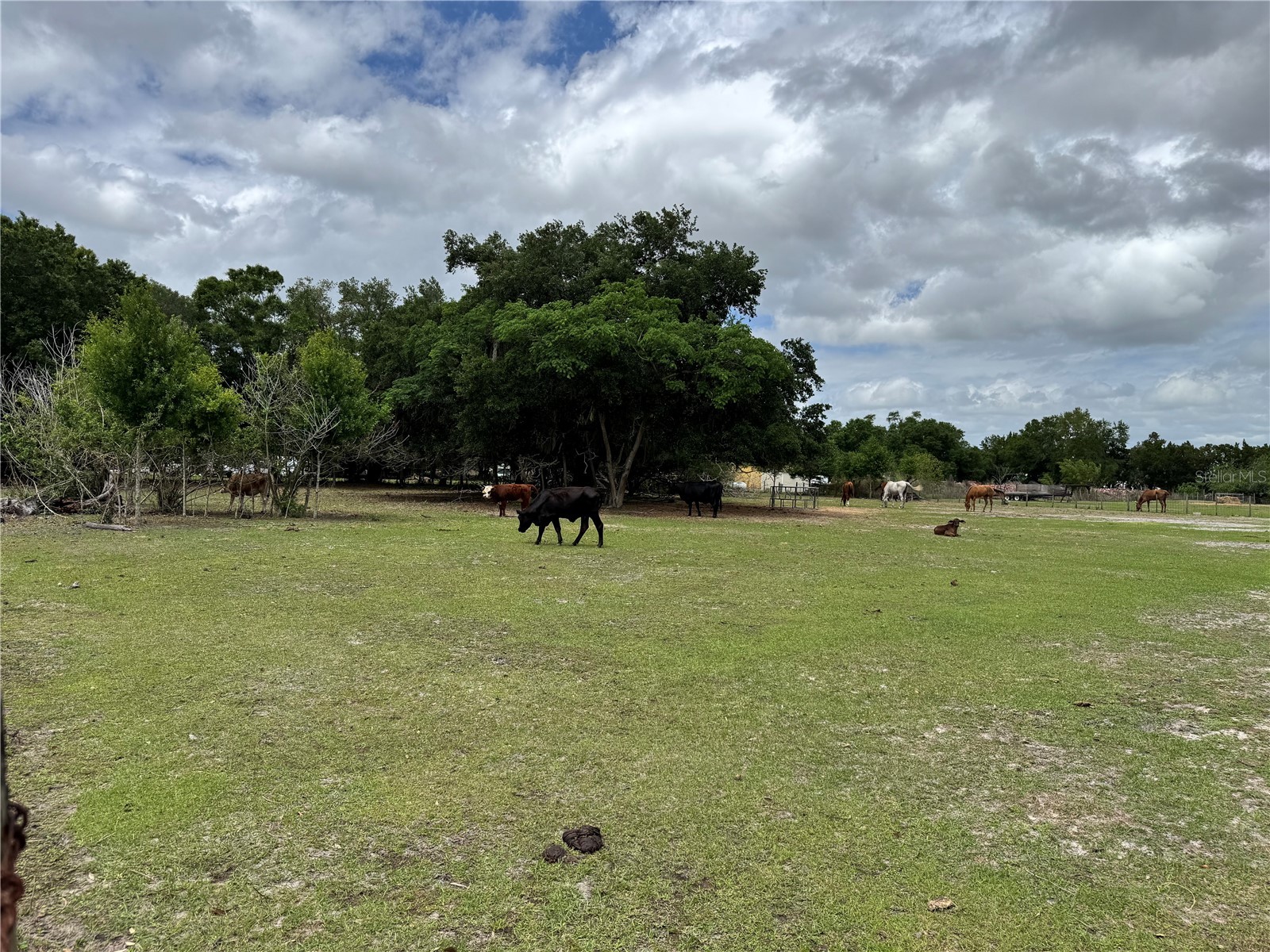 1804 Zipperer Road Bradenton FL 34212 TB8494718 image2