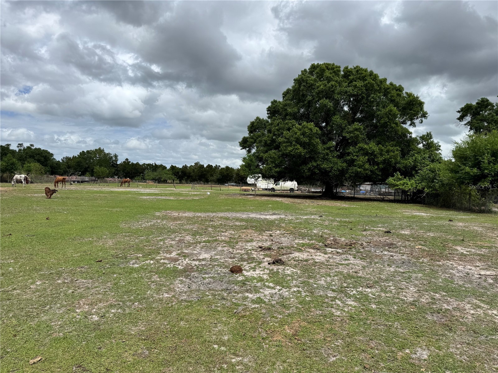 1804 Zipperer Road Bradenton FL 34212 TB8494718 image3