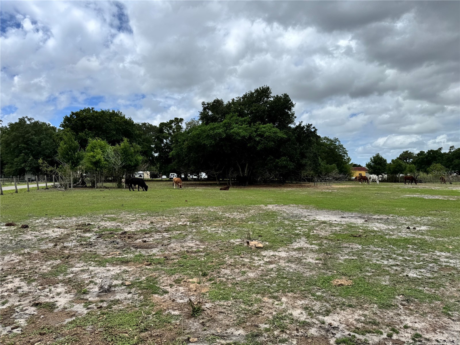 1804 Zipperer Road Bradenton FL 34212 TB8494718 image4