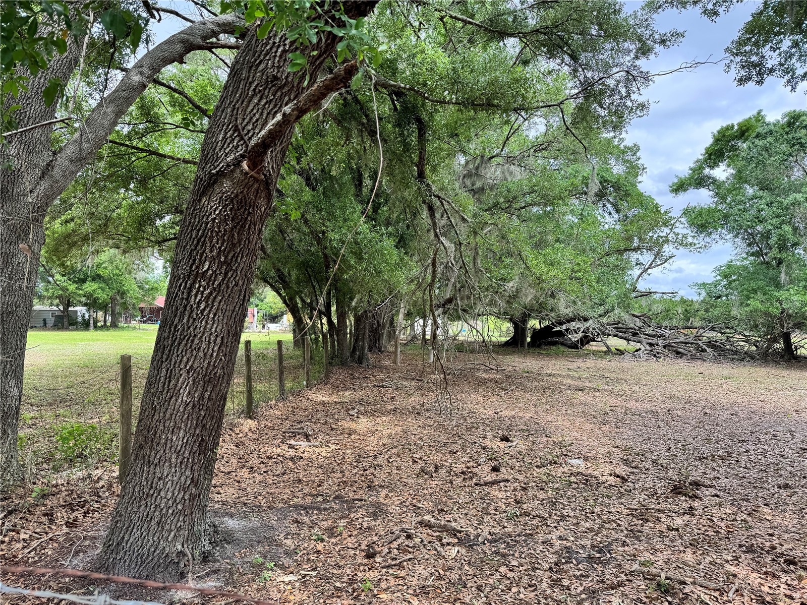 1804 Zipperer Road Bradenton FL 34212 TB8494718 image6