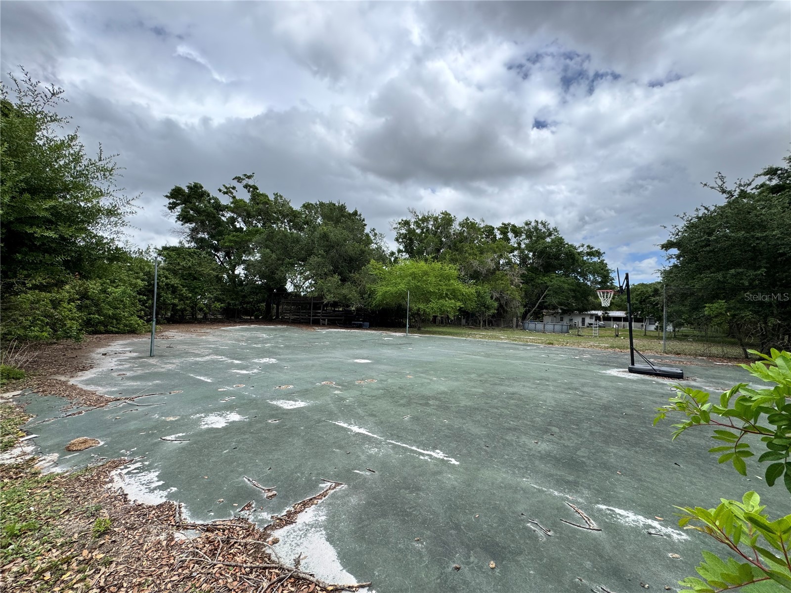 1804 Zipperer Road Bradenton FL 34212 TB8494718 image8
