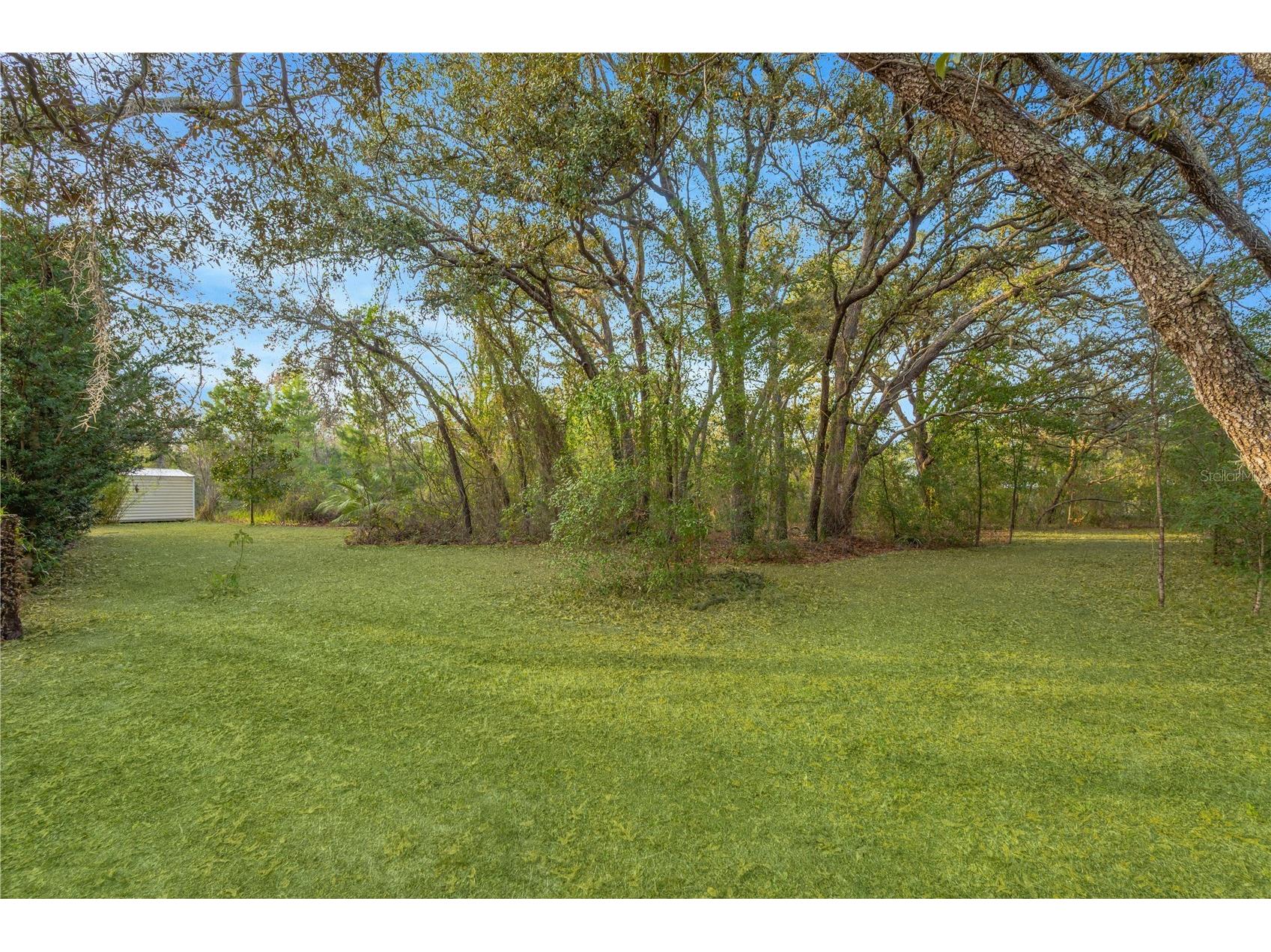 18041 Owego Street Hudson FL 34667 TB8467918 image60