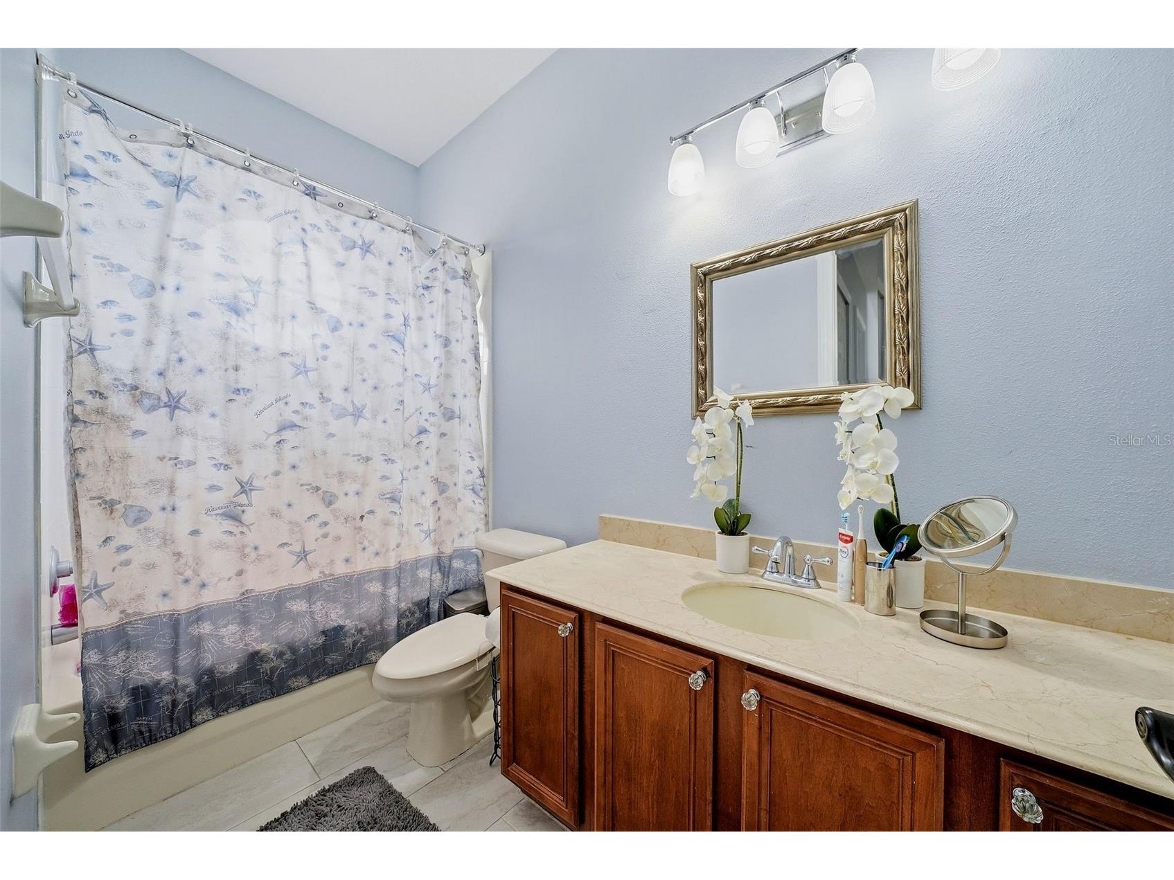 18043 Cozumel Isle Drive Tampa FL 33647 L4962475 image52